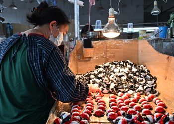 China tariffs mean 'Christmas is at risk,' toy industry CEO says