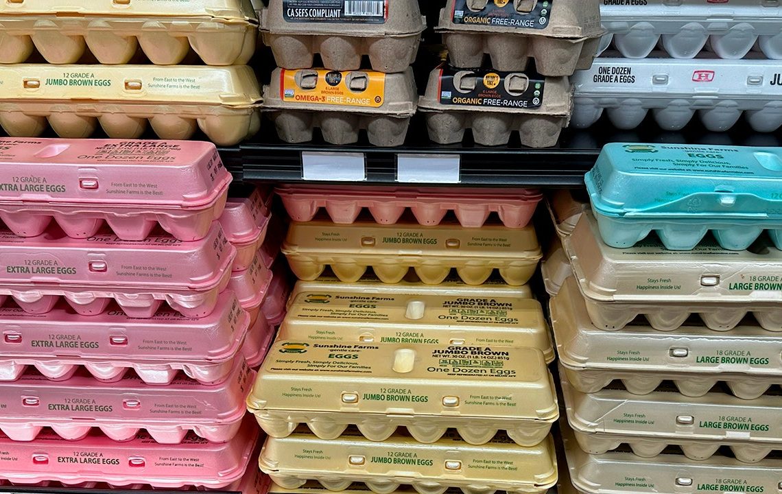Egg prices decline for first time in months amid avian flu outbreak