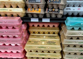 Egg prices decline for first time in months amid avian flu outbreak