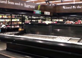 Government-funded grocery store flounders in Midwest city as similar proposal gains steam in NYC