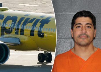 Spirit Airlines pilot arrested at airport on child stalking charges