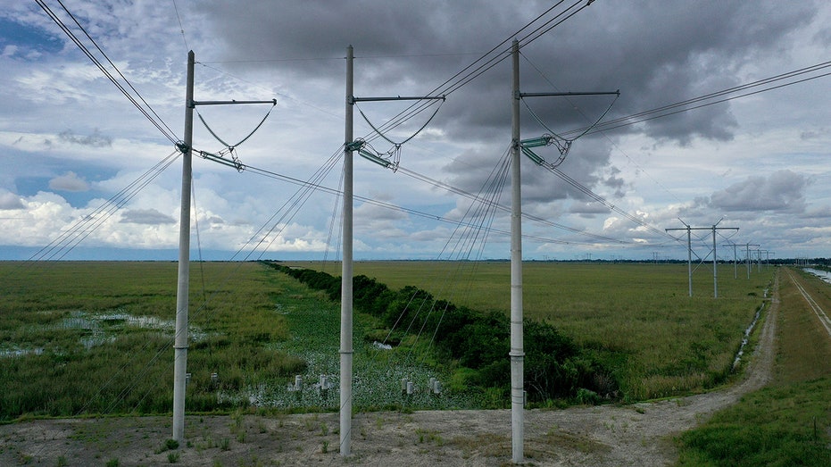 Power lines in Florida Everglades in September